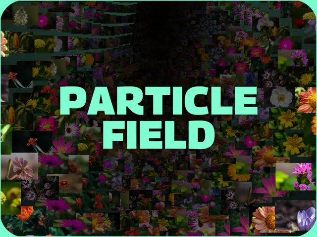Particle Field